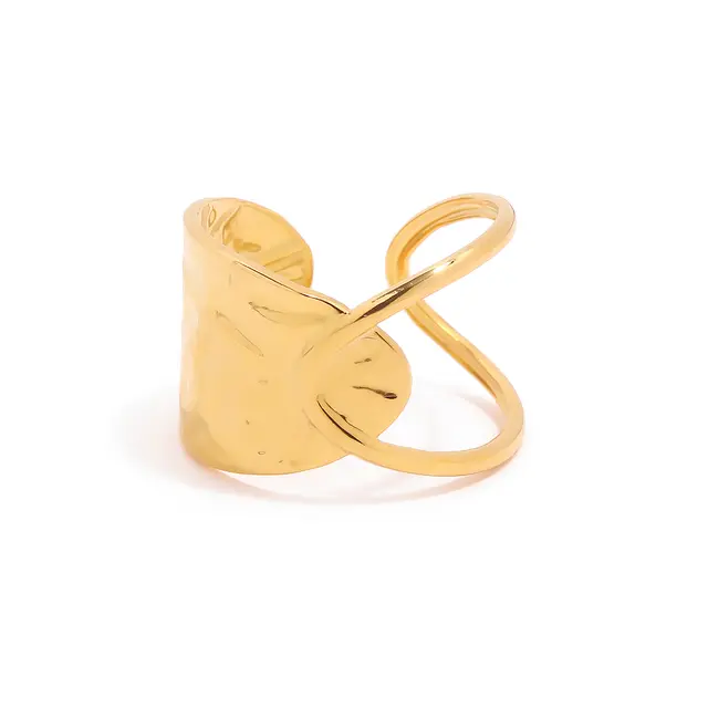The Link - Ring