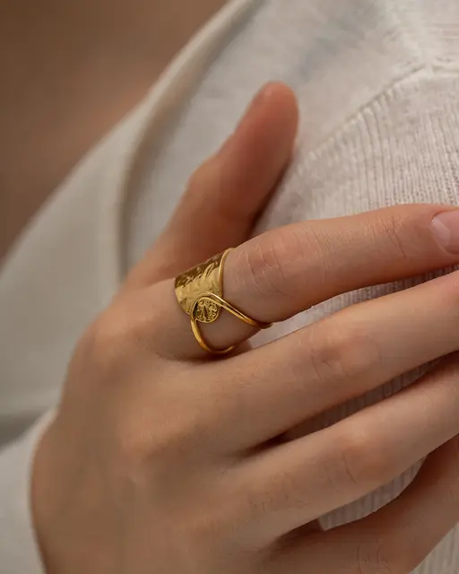 The Link - Ring